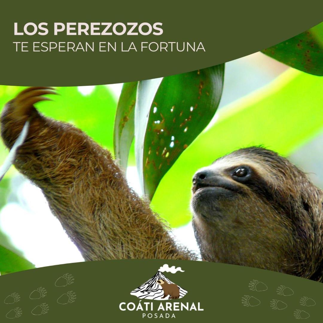 Coati Del Arenal Posada La Fortuna Bagian luar foto