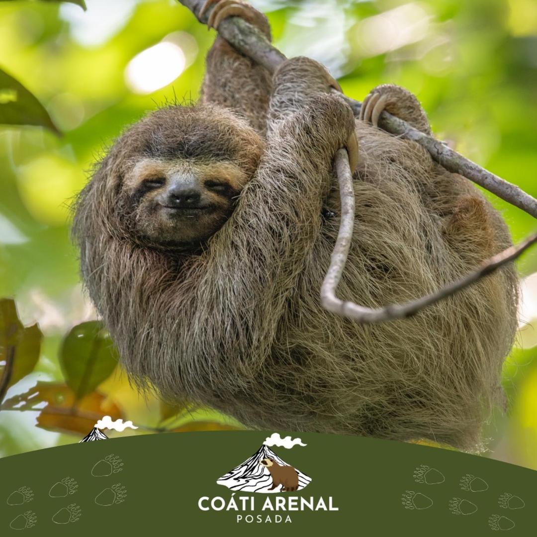 Coati Del Arenal Posada La Fortuna Bagian luar foto